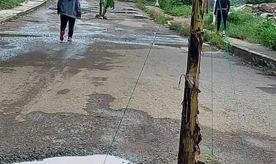 Pobladores tapan hoyos con diferentes plantas