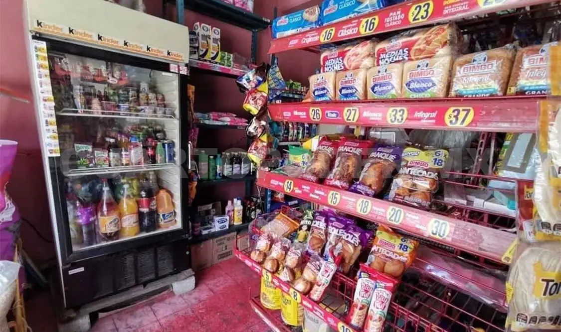 Urge analizar regulación de alimentos procesados
