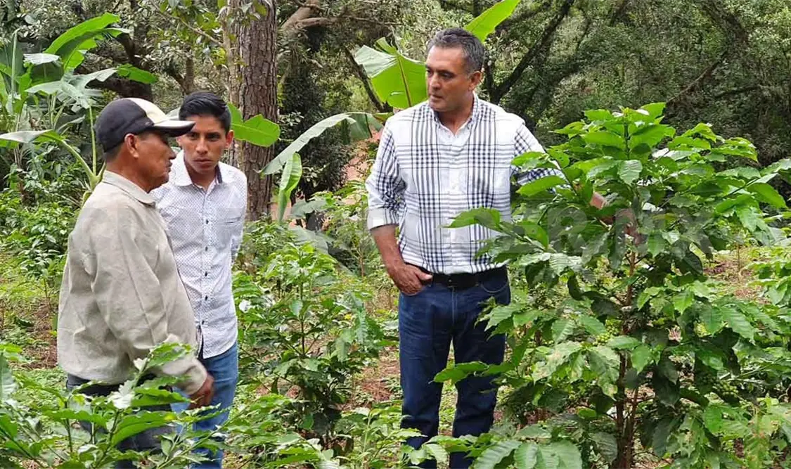 Campesinos ganan premios internacionales