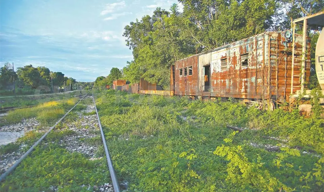 Reiteran indígenas rechazo al Tren Maya