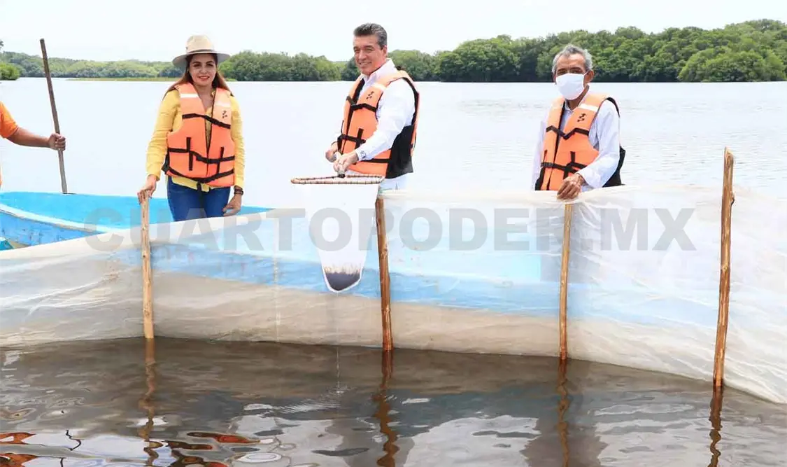 Entrega Rutilio apoyos acuícolas y pesqueros en la Costa y Soconusco