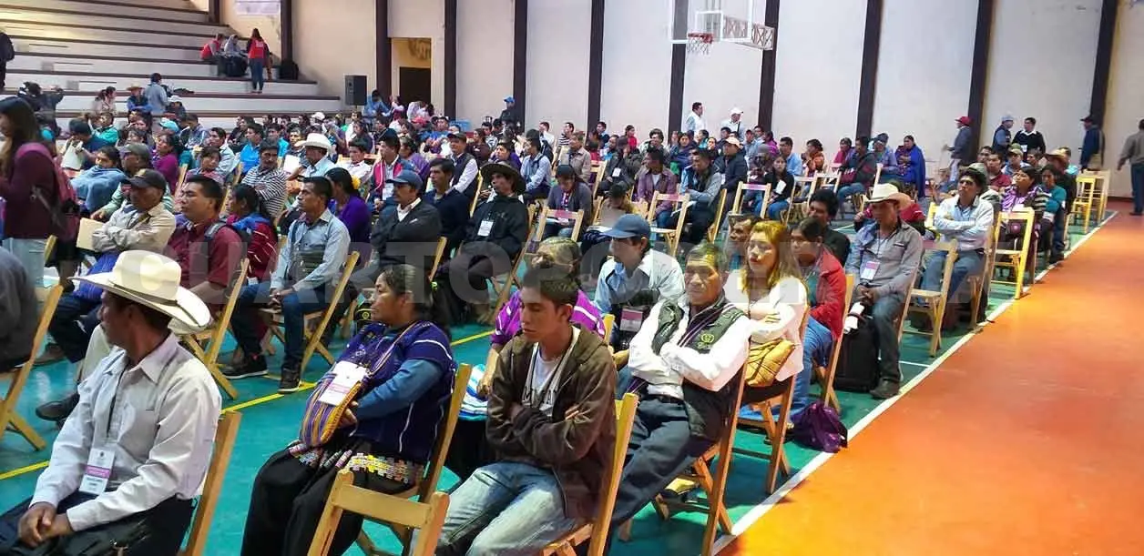 Oxchuc y Belisario Domínguez, sin elecciones