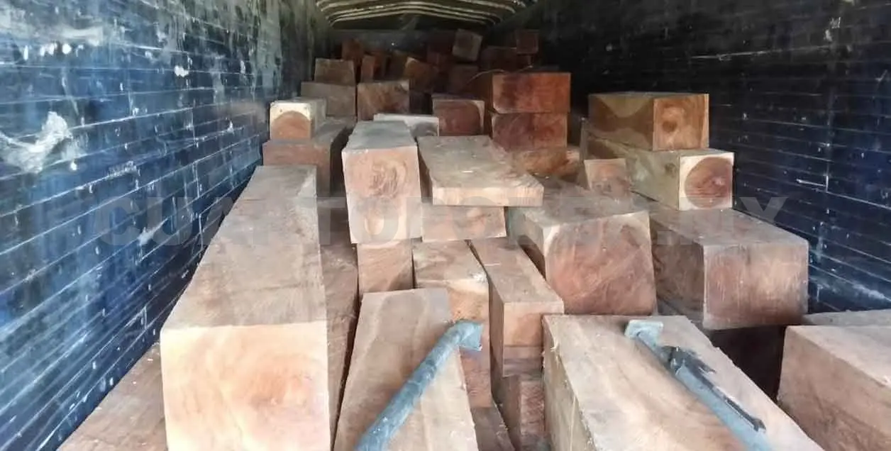Interceptan carga de madera ilegal