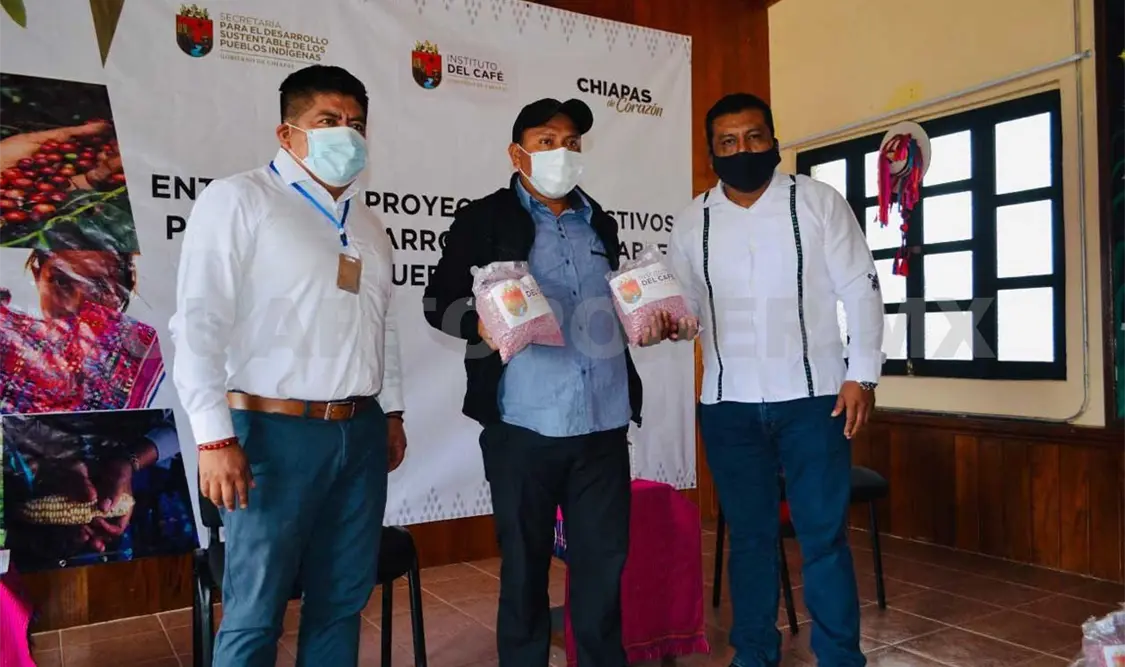 Entregan 60 mil semillas de café a productores