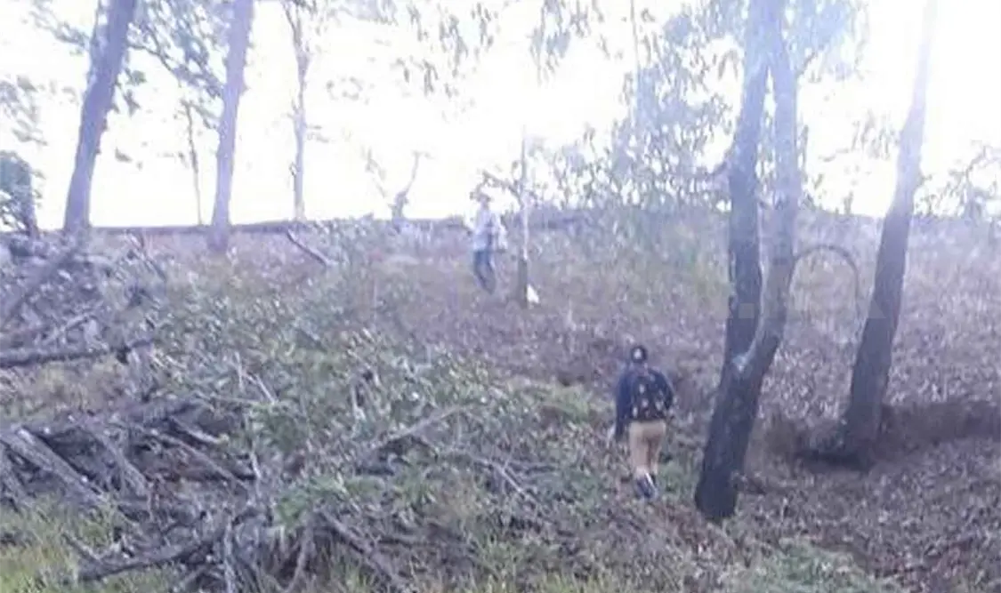 Denuncian reparto y tala ilegal de reserva natural
