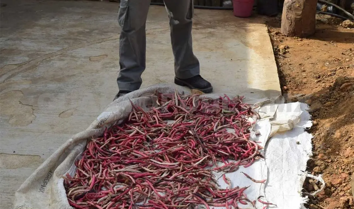 Opera el Proyecto GEF Agrobiodiversidad Mexicana