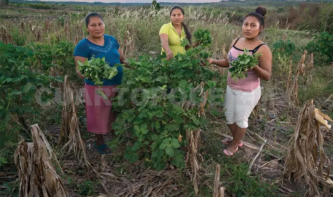 Rezago social y pobreza afecta a mujeres rurales
