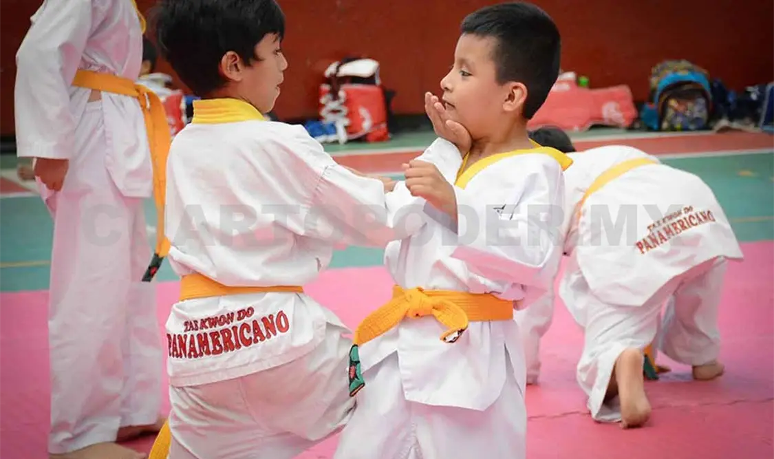 Moo Duk Kwan Fénix gana Torneo Virtual