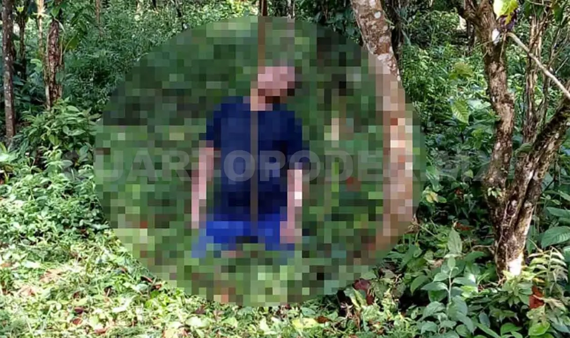 Encuentran a sujeto ahorcado en árbol