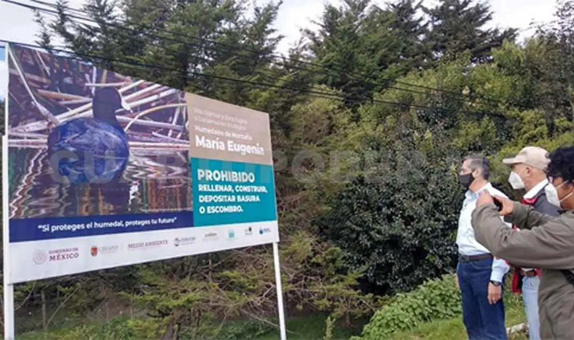 Deforestación pone en riesgo a 14 especies