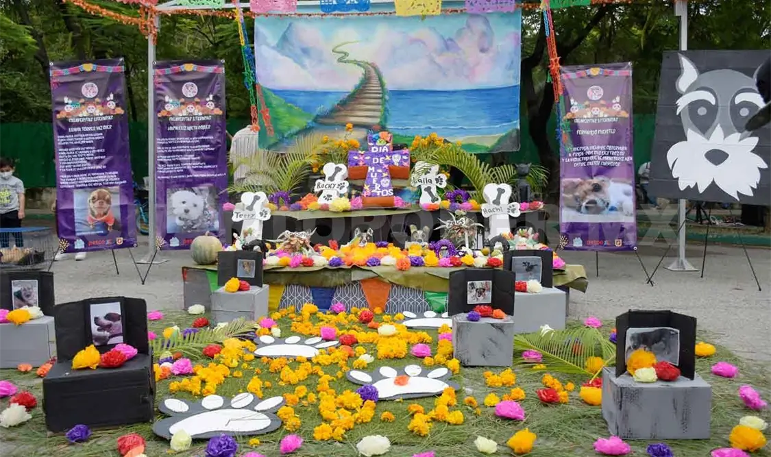 Con altar “perruno” invitan a adoptar canes