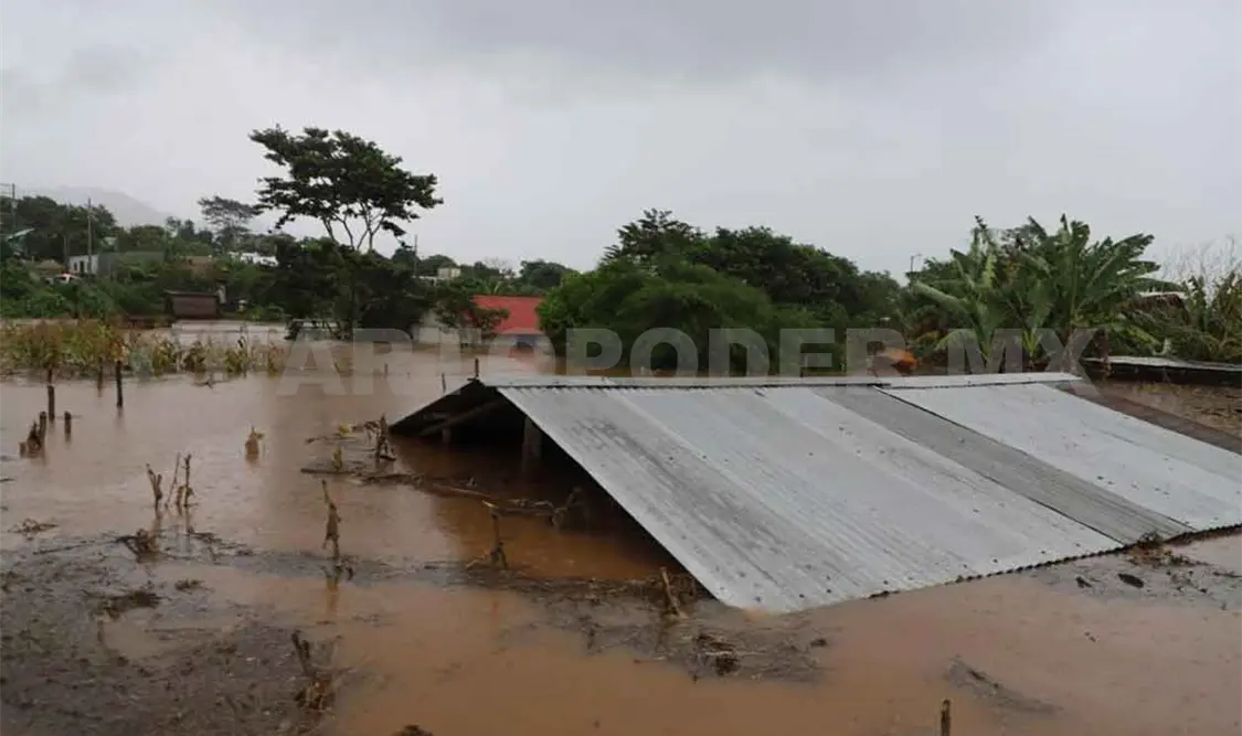 Graves daños en más de 50 municipios por lluvias intensas