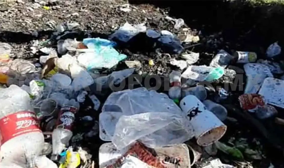 Recolectan más de 700 kilos de PET