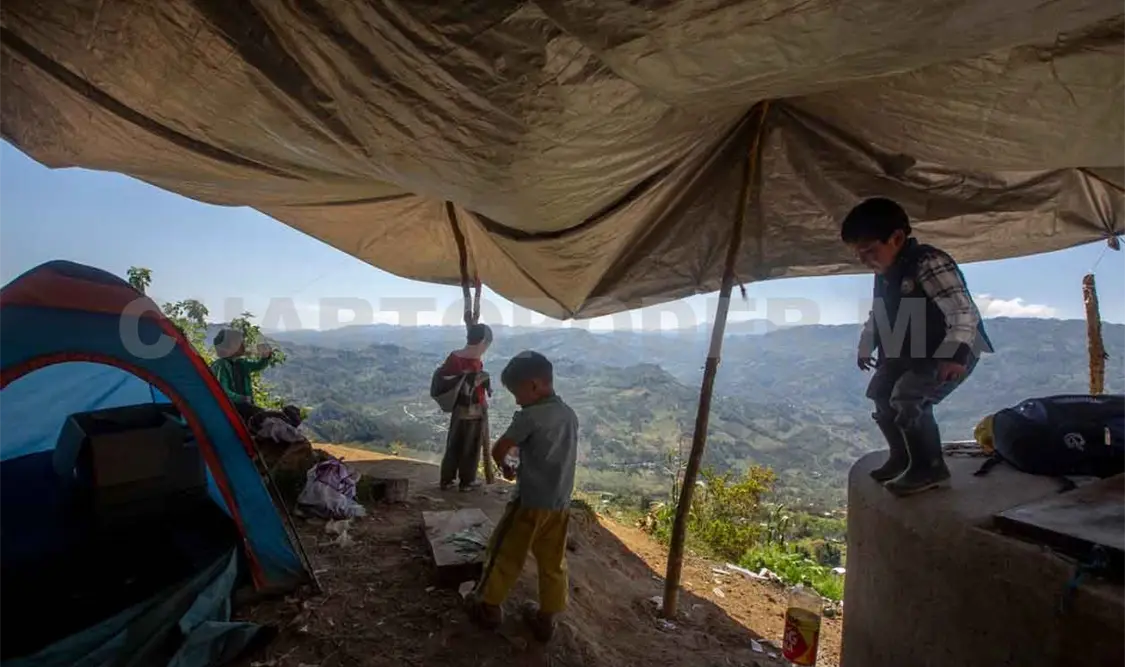 Siete menores han muerto en desplazamientos