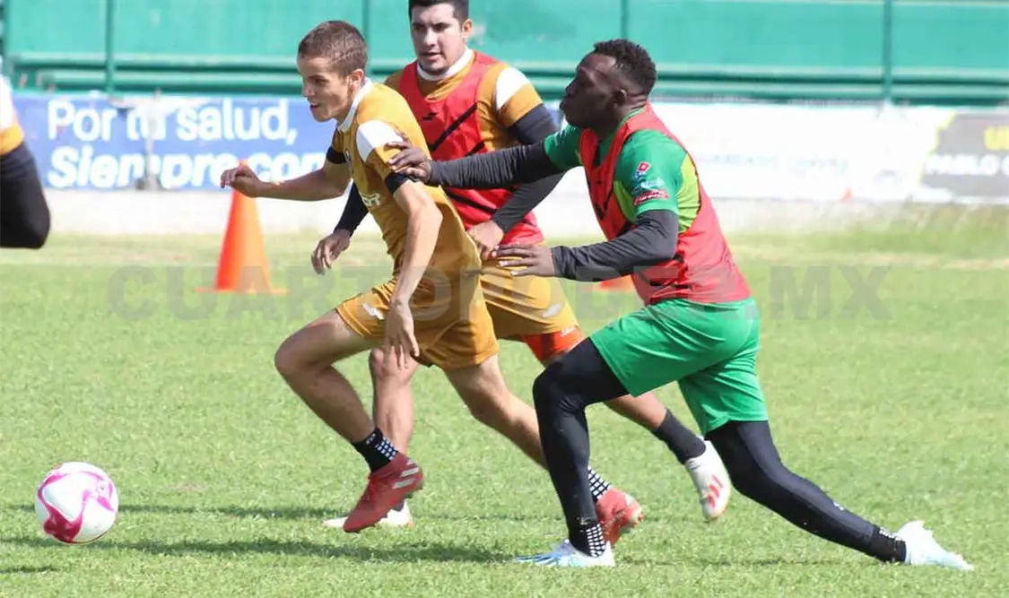 Cafetaleros cuenta con nuevo talento