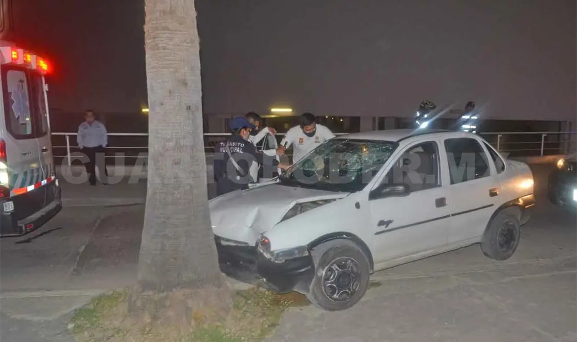 Chevy se estrella contra palmera; dama lesionada