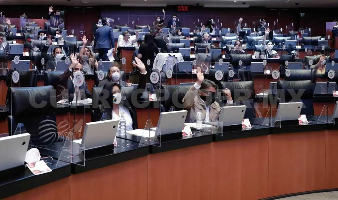 Este dictamen fue avalado por 313 votos a favor, una abstención y 59 en contra. El Universal
