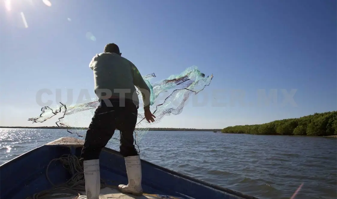 Las pérdidas superan los 700 millones de pesos debido a la falta de actividad y escasez de productos del mar. Twitter