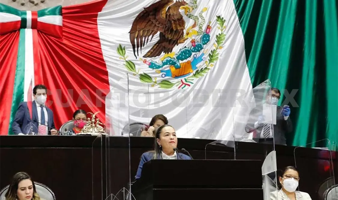 La coordinadora del PRD, Juárez Piña, dijo que el Gobierno Federal pagará aguinaldos por un monto de 135 mil mdp. Twitter
