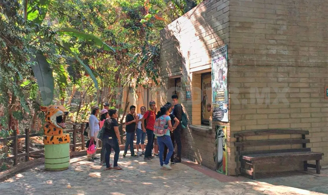 Para realizar las visitas se hacen en grupos de 12 a 15 personas, previa cita, y deben de seguir los protocolos que exigen autoridades de salud. CP