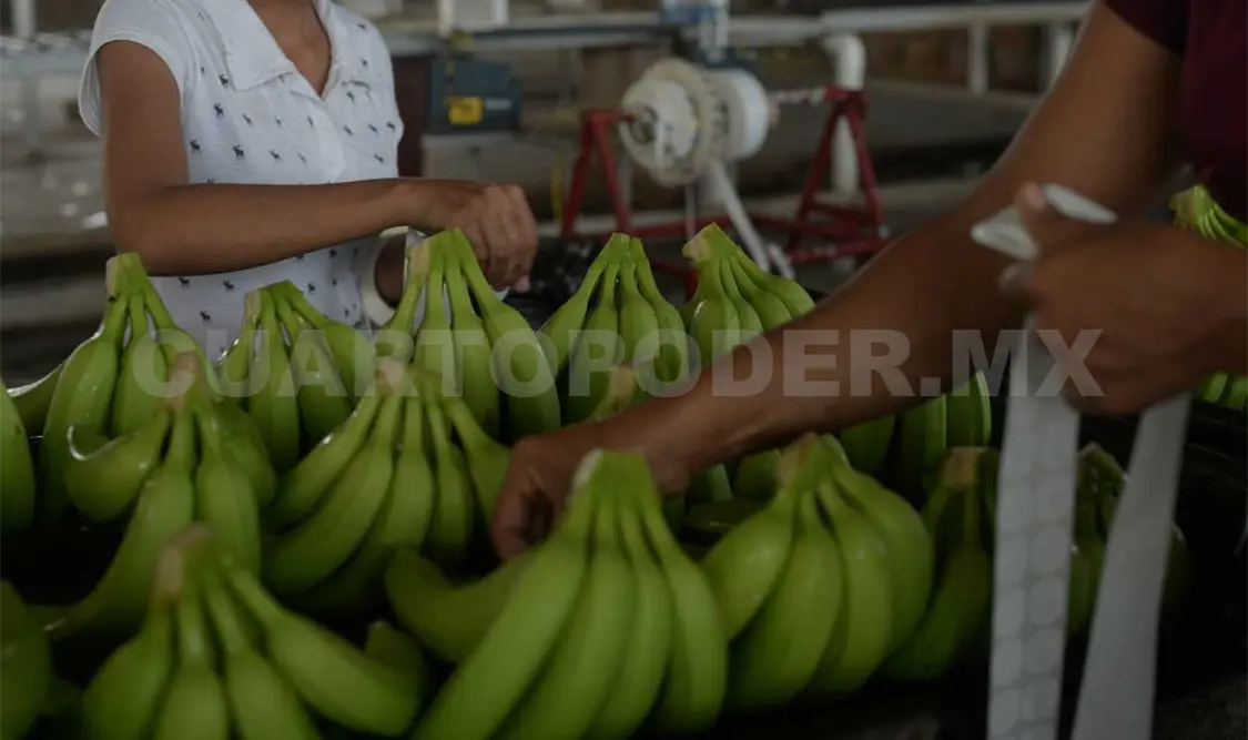 La falta de legalidad en las empresas es un fuerte obstáculo para lograr el siguiente paso. Cortesía