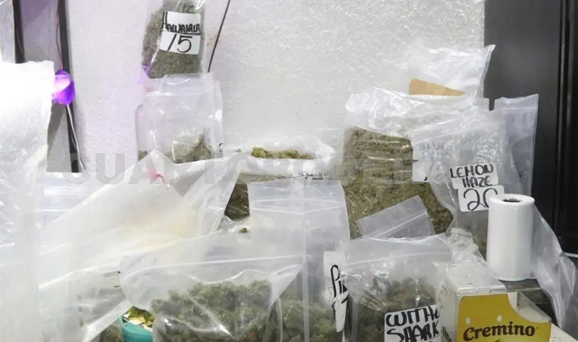 La posesión de marihuana se despenaliza en cantidades de 28 a 200 gramos. Twitter