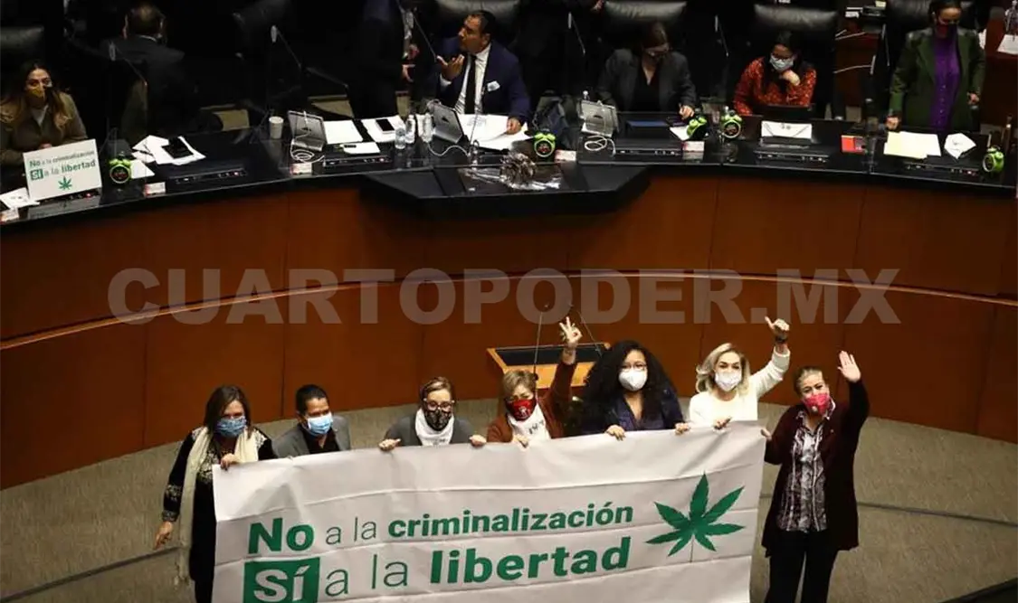 Aprueban despenalizar uso lúdico de la marihuana