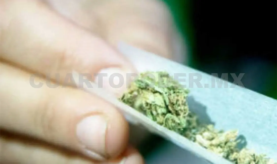 La marihuana será de libre consumo en todo el territorio nacional. CP