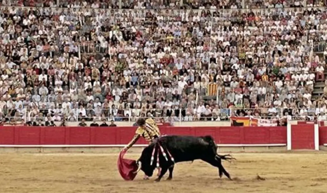 La Asociación Internacional de Tauromaquia argumentó que está en una situación de emergencia. Cortesía
