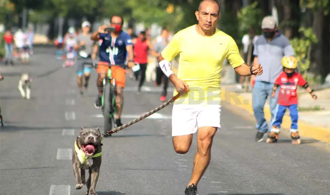 Incrementa participación en Corre con tu Mascota