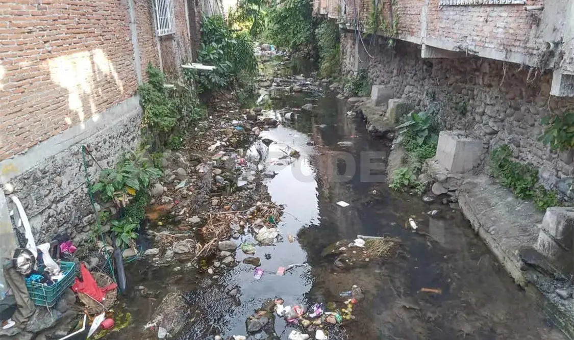 Ríos presentan alto grado de contaminación
