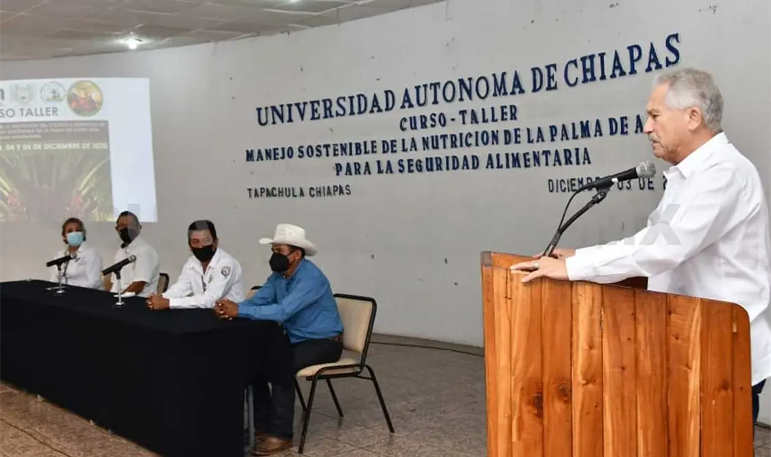 Afirmaron que se busca que el técnico palmicultor tenga una idea de qué hacer para el desarrollo de proyectos de su sector. CP