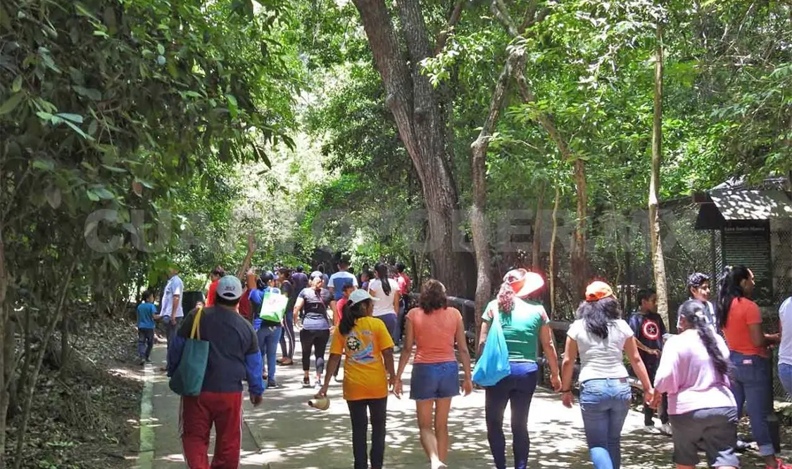 Siguen las restricciones para visitar el ZooMAT