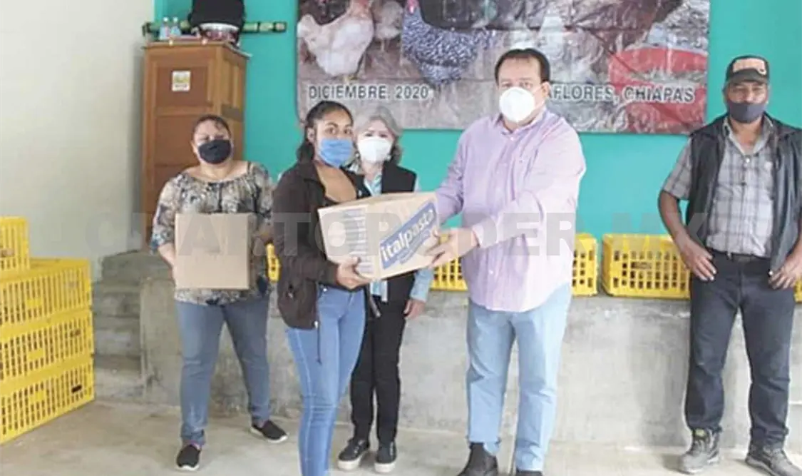 El Ayuntamiento de Villaflores hizo entrega de pollitas de traspatio para mujeres del campo. CP