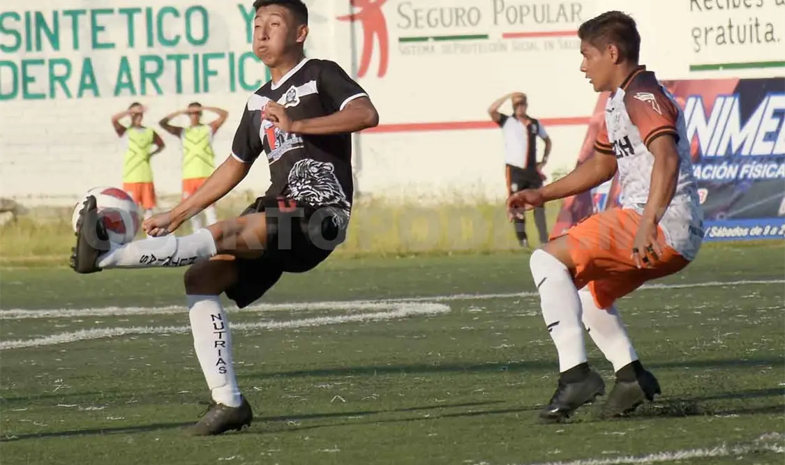 Lechuzas “vuela” conforme a lo planeado