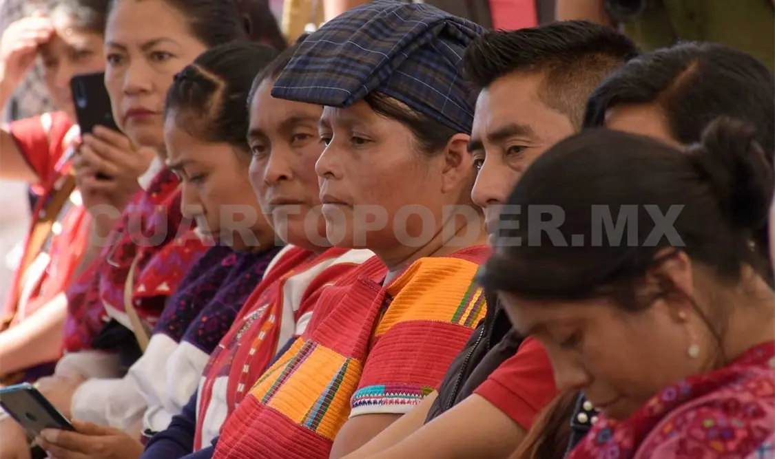 Indígenas deben tener representación real