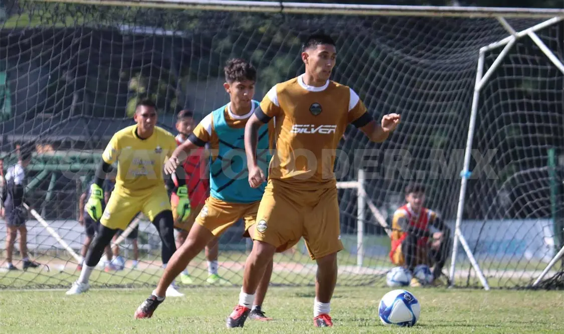 Cafetaleros sumó sus primeros refuerzos