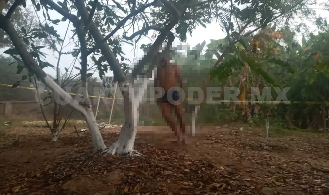 Encuentran a hombre ahorcado en un árbol