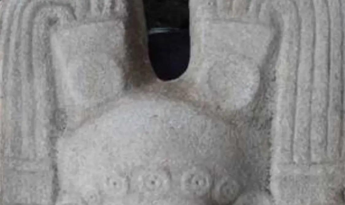 La escultura es la primera que se descubre en la cuenca del río Tuxpan. Cortesía