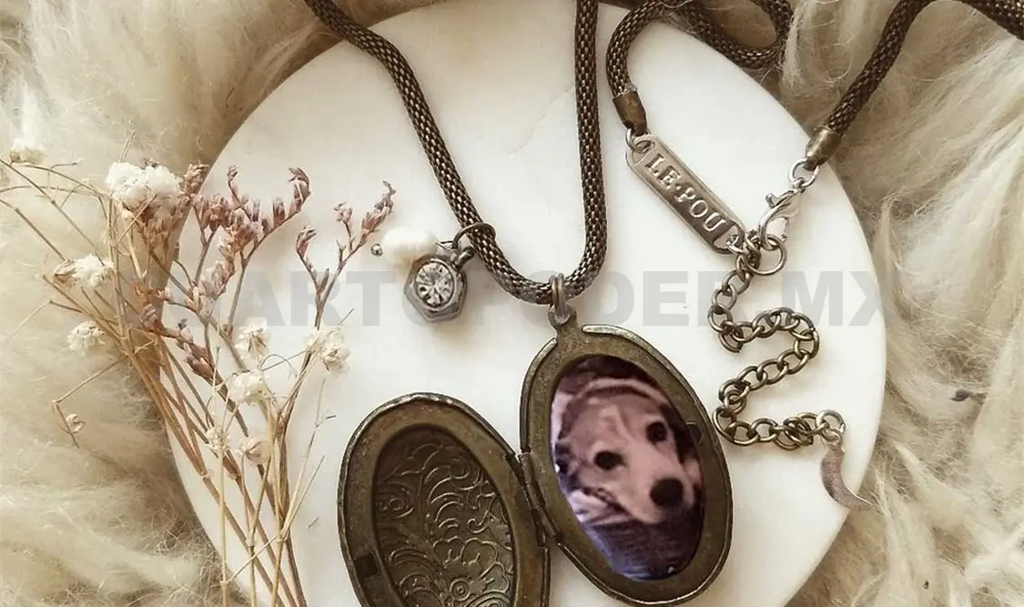 Crea fotografías vintage