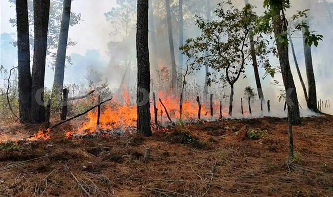Preocupa a ganaderos incremento de incendios