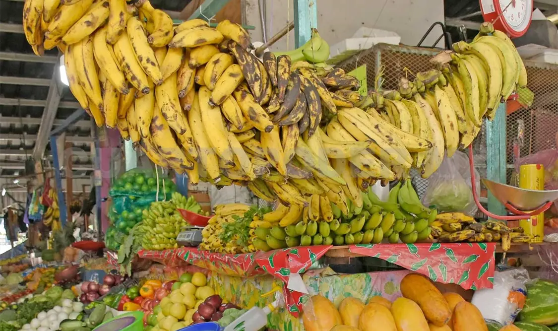 Plaga afecta a 551 mil 54 kilogramos de frutos