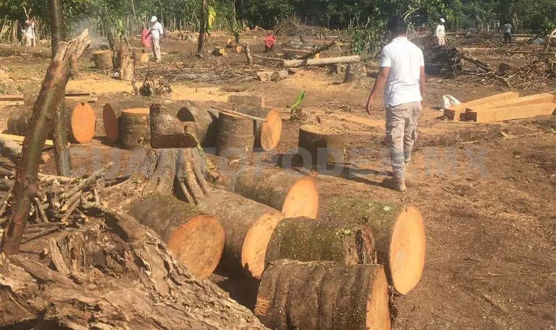 Alcaldesa incurre en abuso de poder