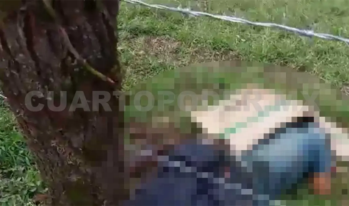 Ejecutan a seis campesinos con armas de alto poder