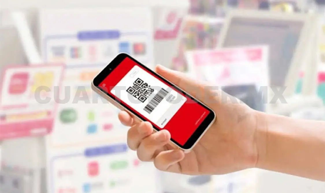 Emitirán Licencia Federal Digital