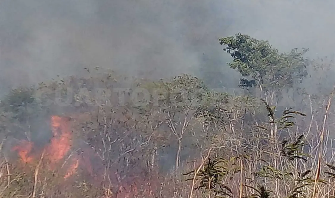 Siniestro afecta 40 ha en Cañón del Sumidero