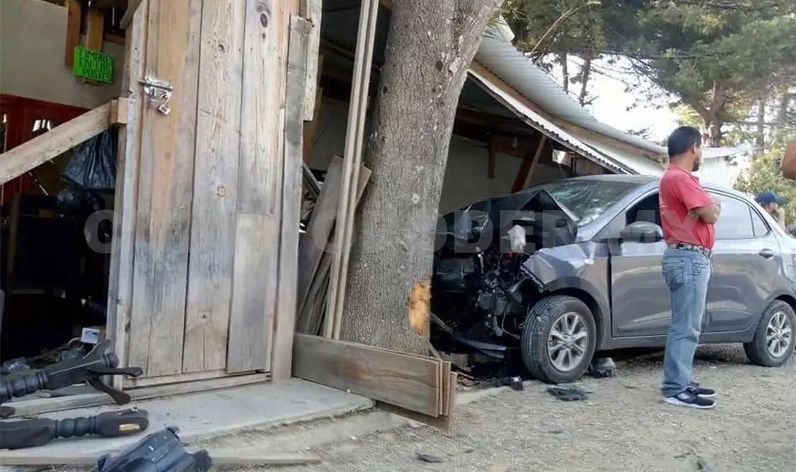 Vehículo se estrella en árbol y una mueblería