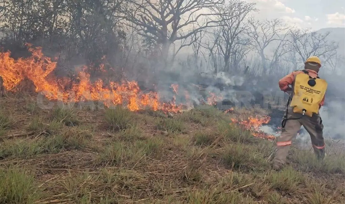 El incendio en el predio colindante con el fraccionamiento Real del Bosque, camino a Chiapas Bicentenario, fue intencional. Cortesía