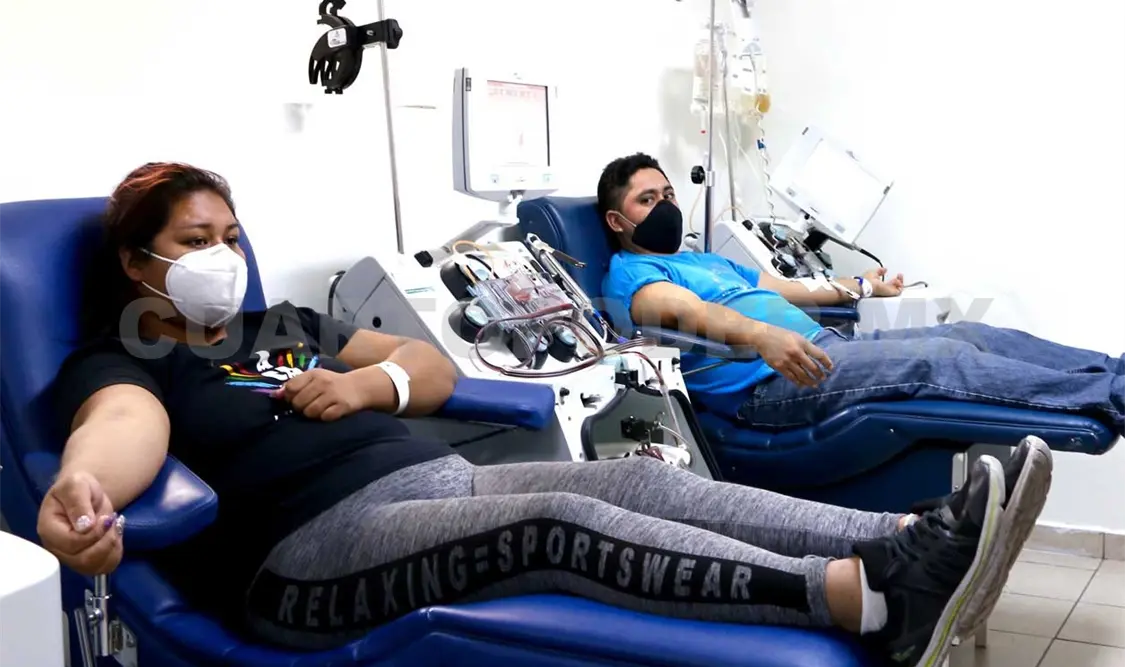 Impulsan donación altruista de sangre