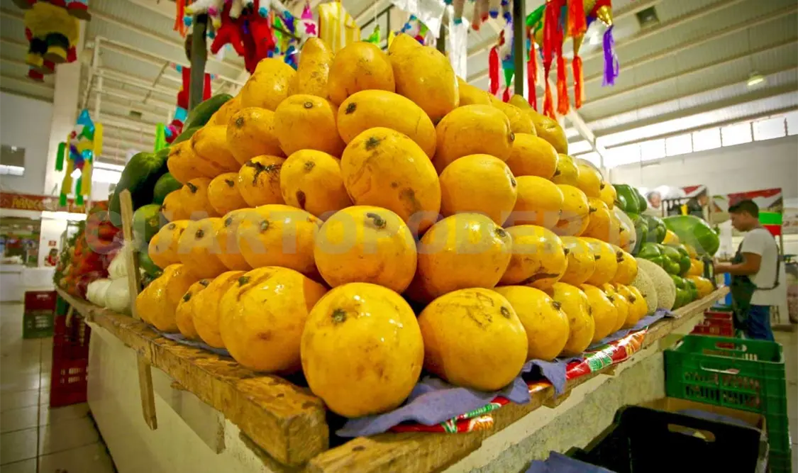 Crece producción de mango en Chiapas